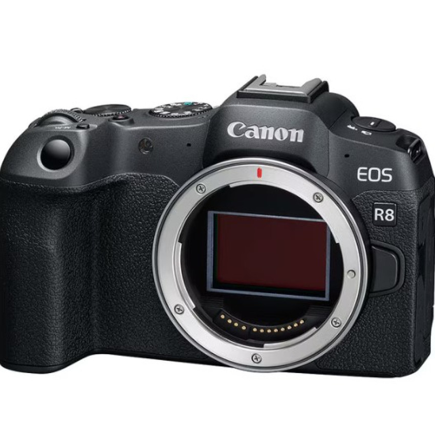 Canon EOS R8 (淨機身) (平行進口)